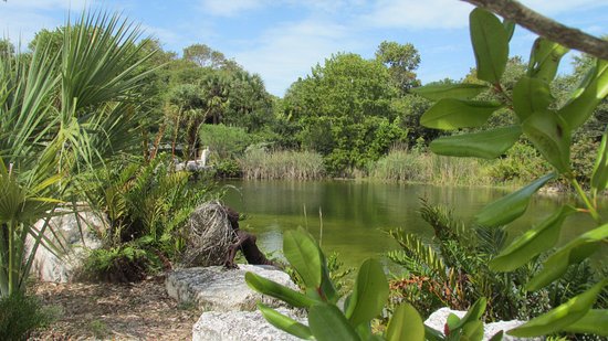 The Key West Tropical Forest and Botanical Garden