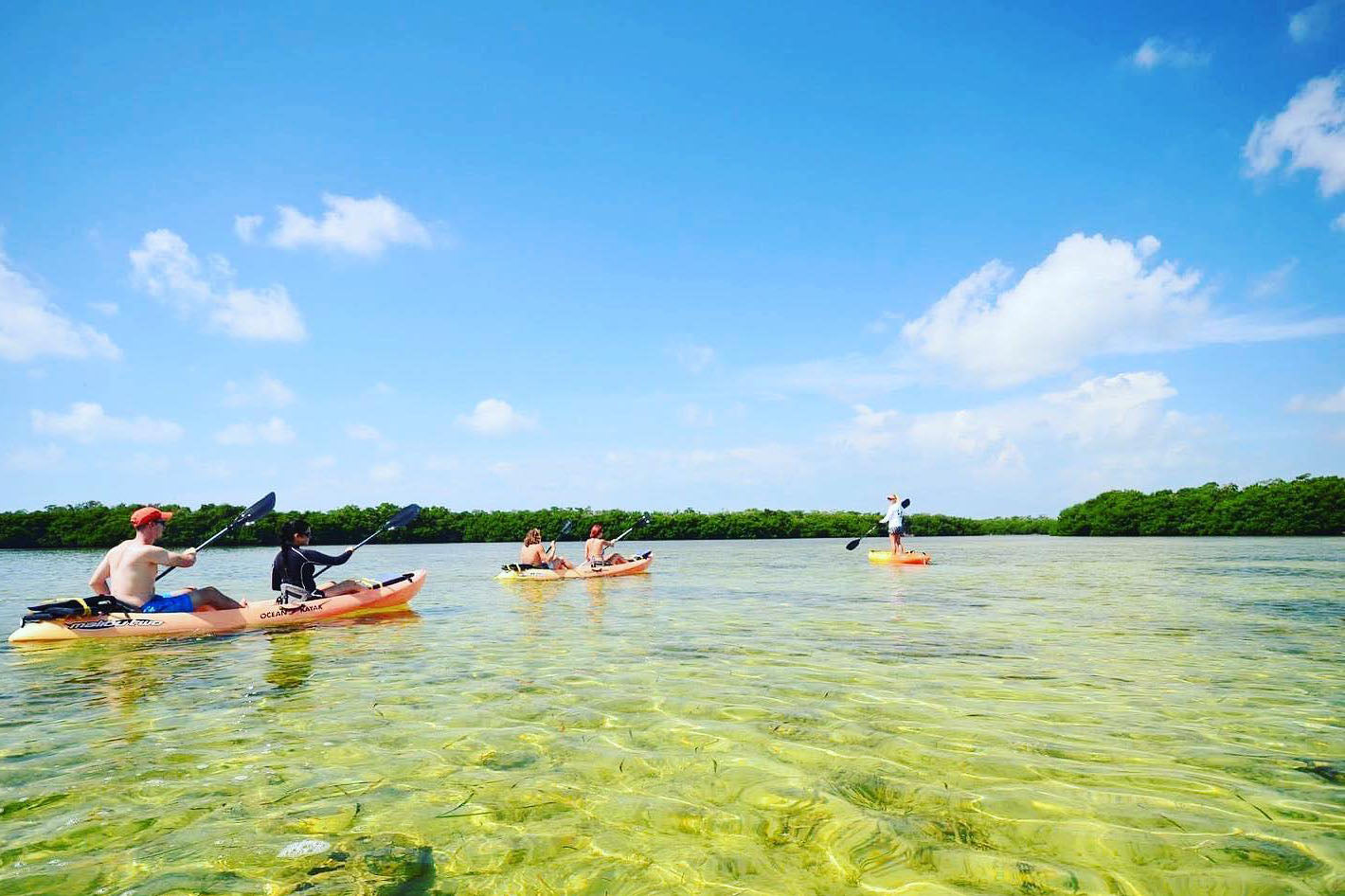 Key West Eco Tours Kayak