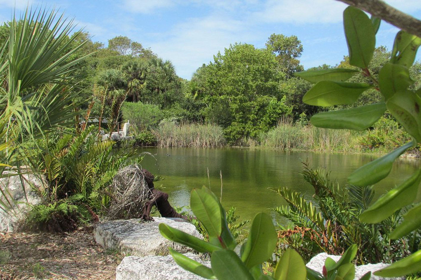 The Key West Tropical Forest & Botanical Garden